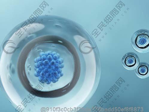 打干細胞敢吃什么東西嗎？氫化油的危害警示